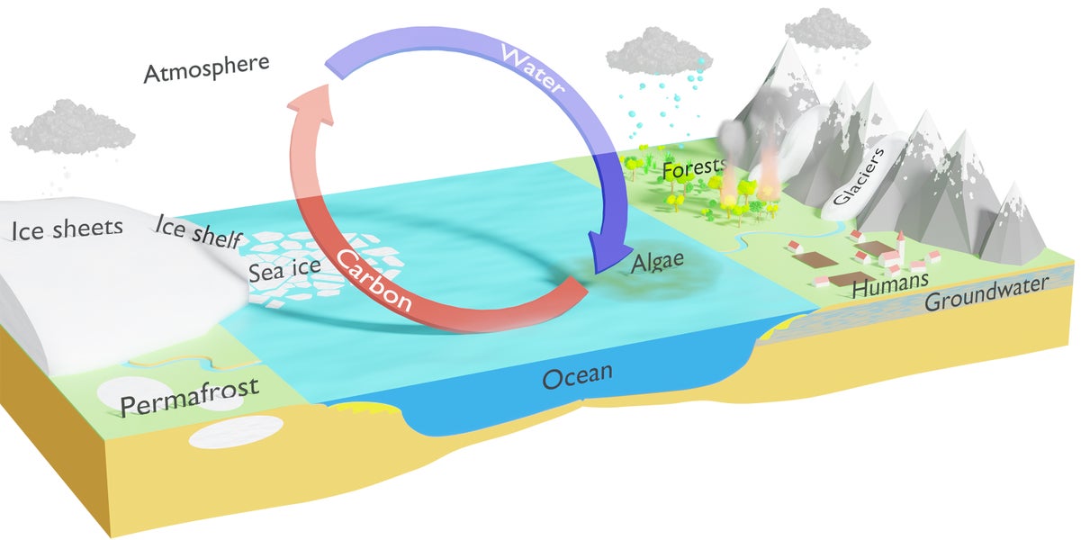 We connect all parts of the Earth system