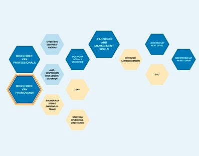 Diagram van Ontwikkelpad Leidinggeven, op maat gemaakt voor Persoon aan het Woord