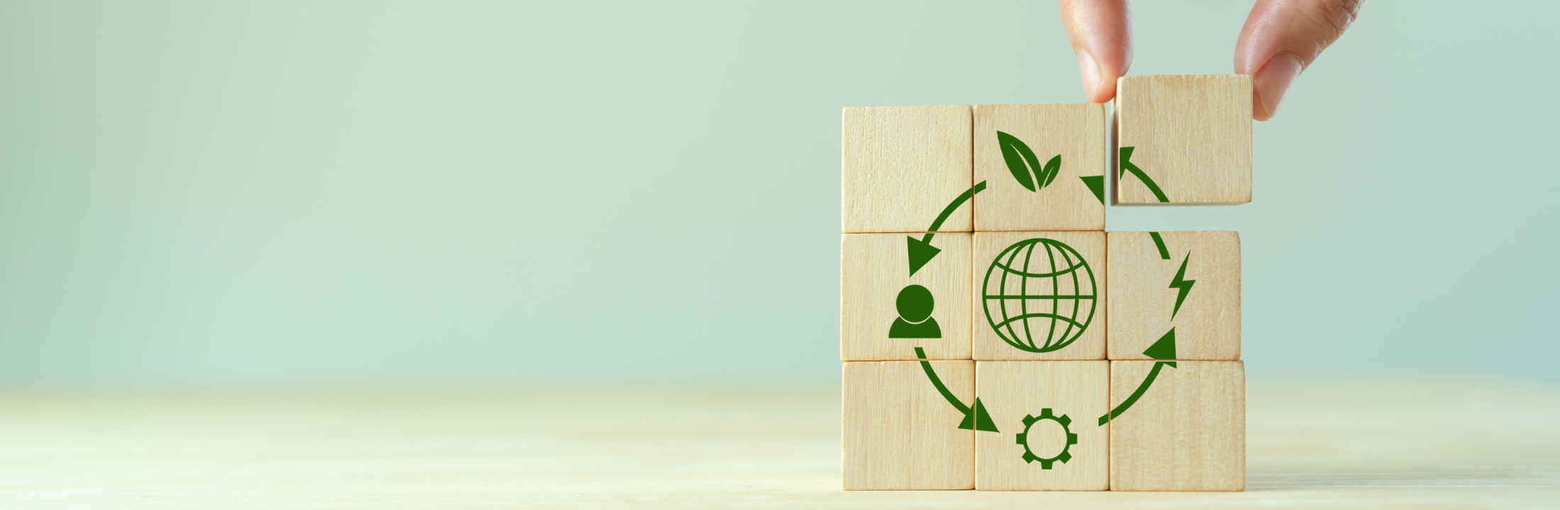 Circular economy woodblock summer school