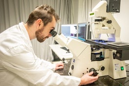 Gozal yalangoch dumba raqsi porno videolarini tomosha qiling