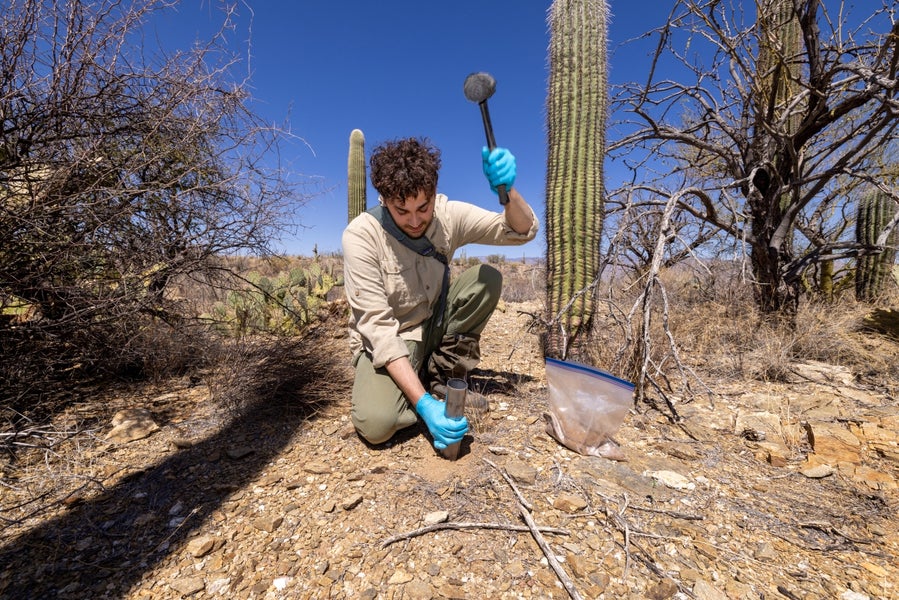 Ecologist Justin Stewart taking soil samples during field work in Tucson
