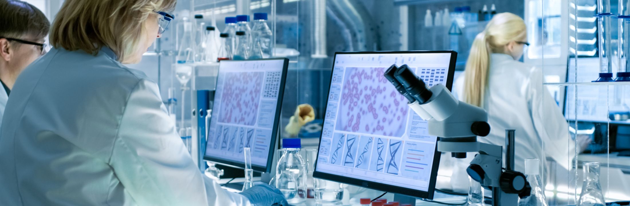 Onderzoek tijdens de master Biomolecular Sciences aan de VU de interactie tussen moleculaire en cellulaire processen in het menselijk lichaam