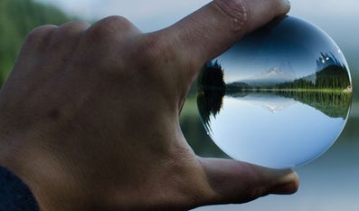 Person looks at nature through a round glass bowl