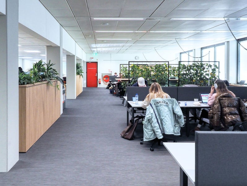 Students study in the VU Library