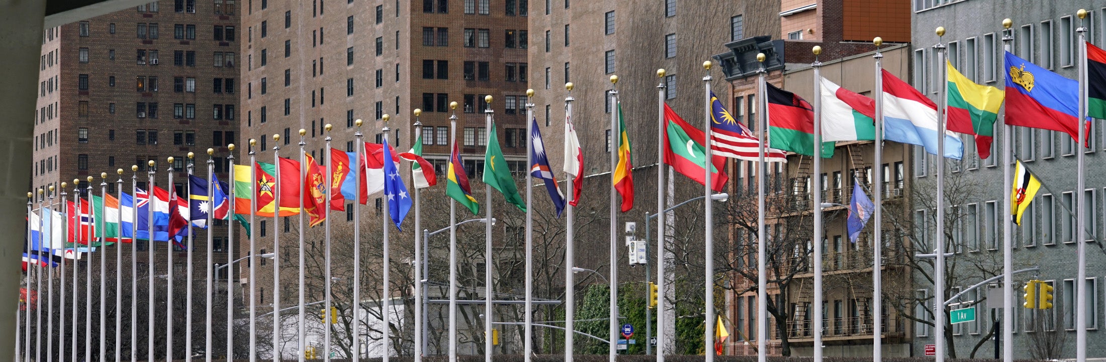 A row of national flags