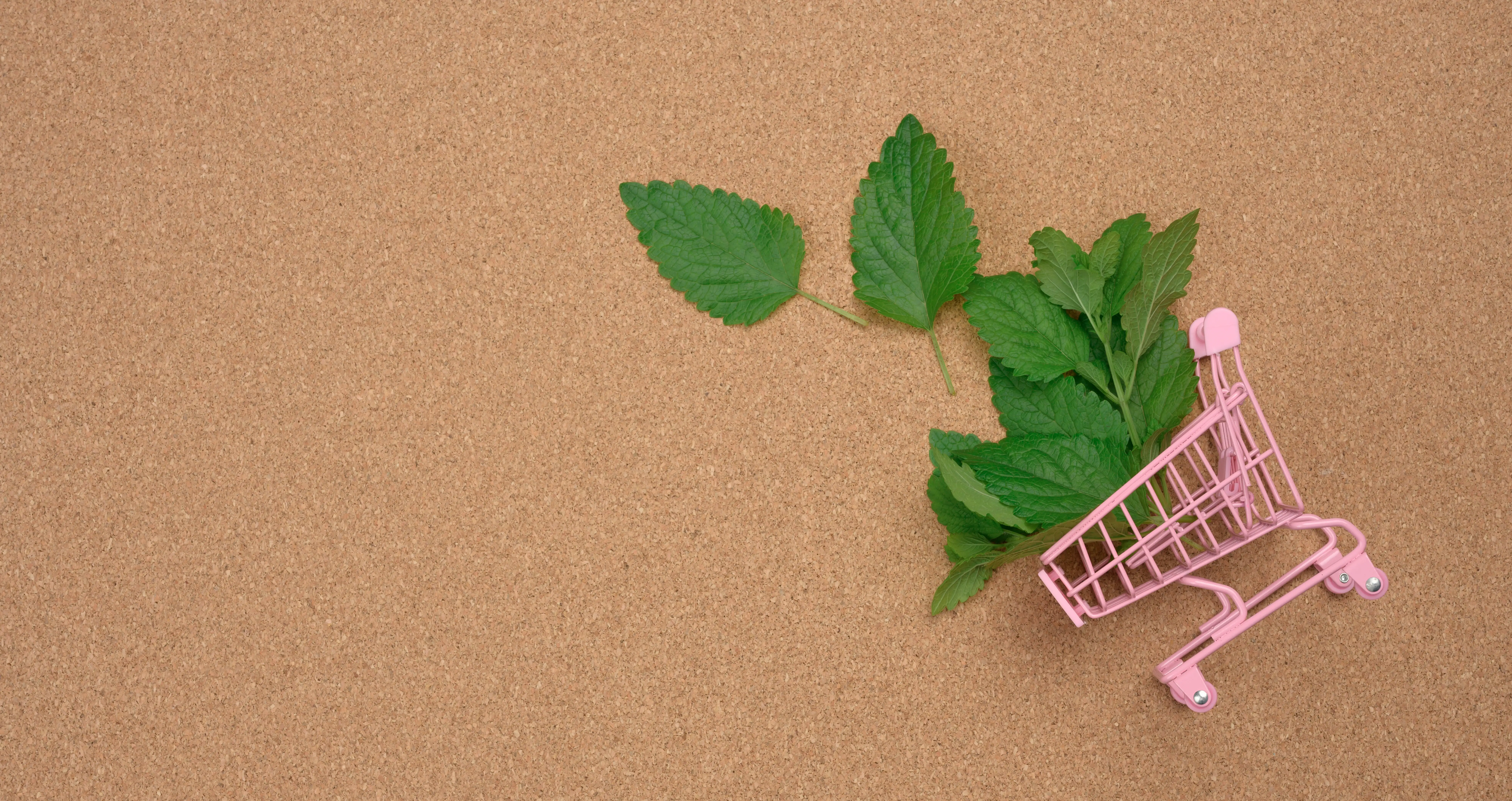 Evita el greenwashing en tu marca y comunica sostenibilidad con ética