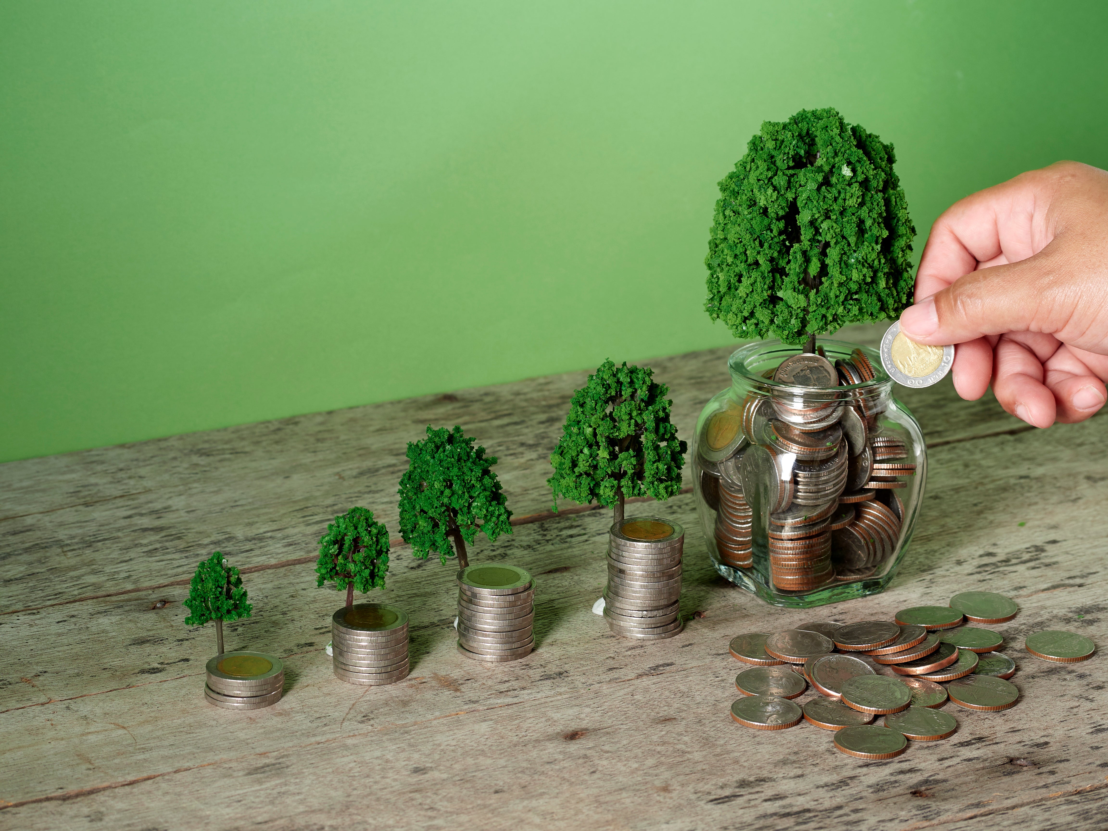 Sustainability Sector Index 2025: cómo construir marcas sostenibles y relevantes