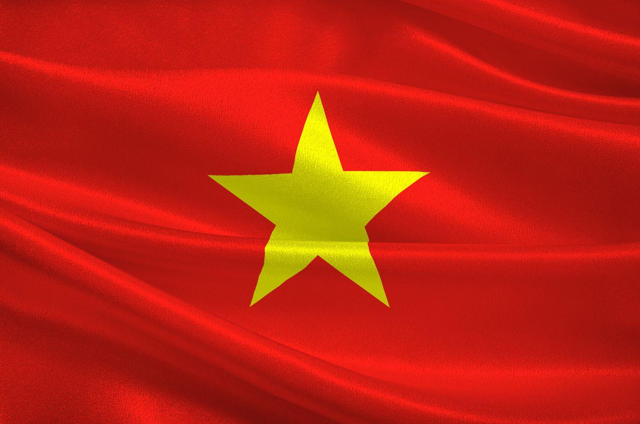 СССР Китай и Вьетнам флаг
