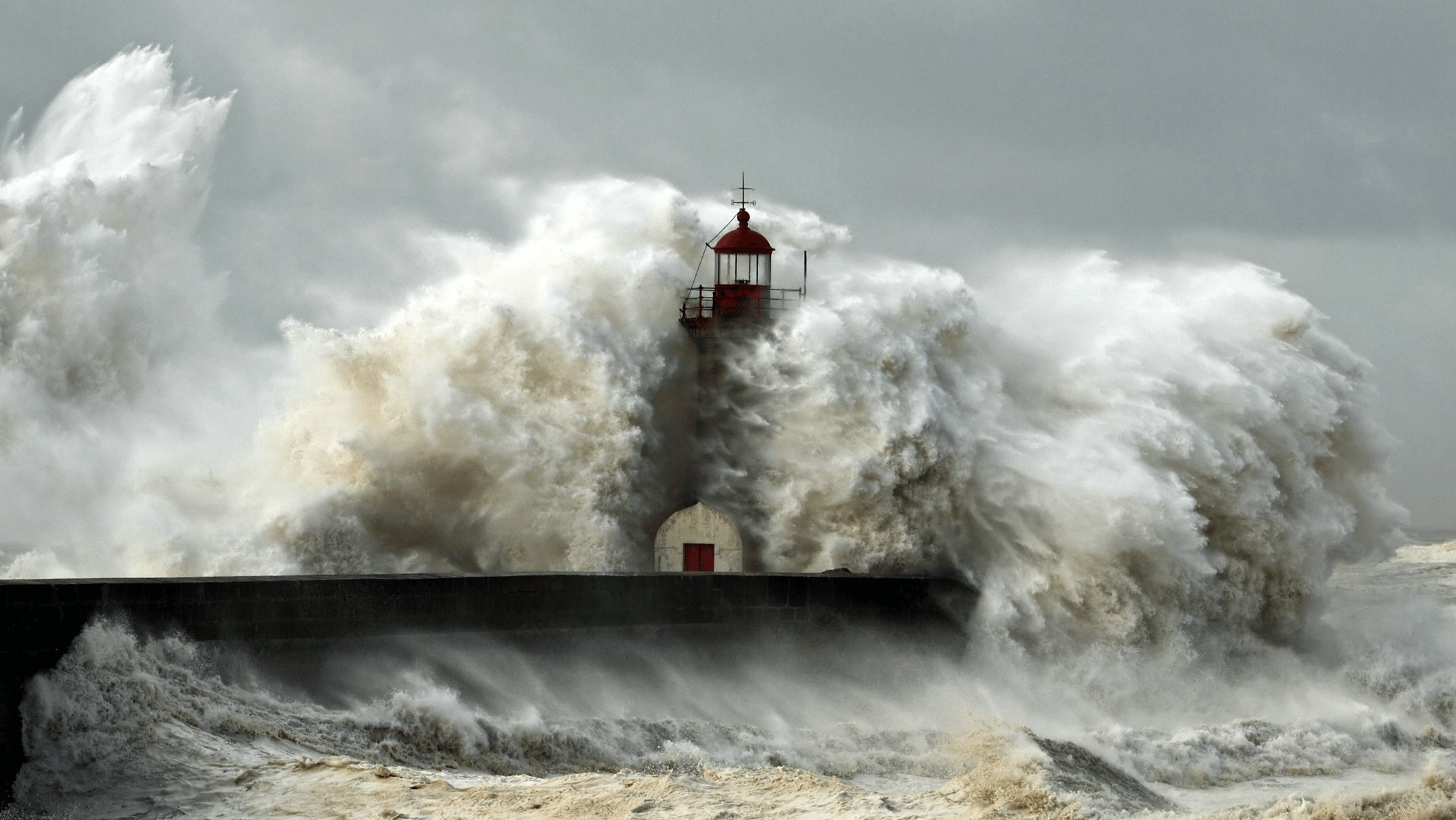 Total Prepared Program teaches how to negotiate out of strength