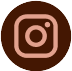Instagram Icon