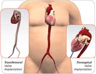 151ad47d-af48-42d2-bad0-48e976776656