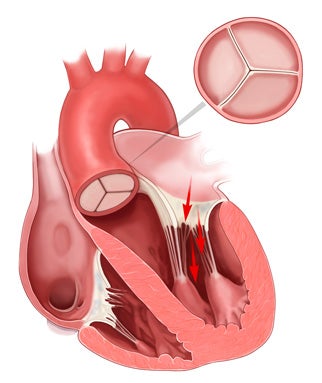 2cc8fb9c-2ed9-47b8-98be-16dd13e52a5f