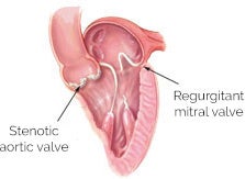 c24743b1-4ee0-4fd3-9534-ae1285575560