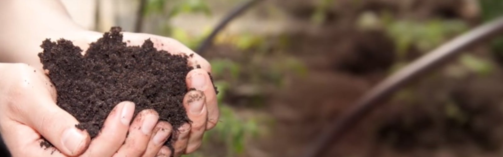 Learn the basics of composting News
