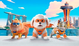 Happy Tails Pet Insurance