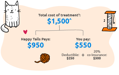 How Happy Tails Pet Insurance Can Help With Your Out Of Pocket Expenses.