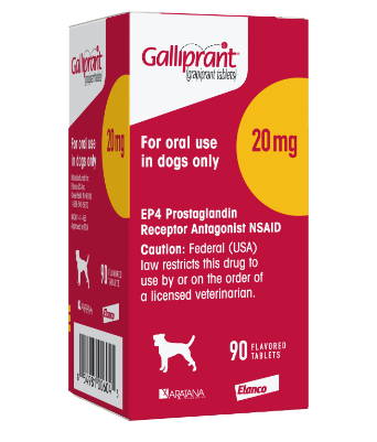 galliprant for dogs