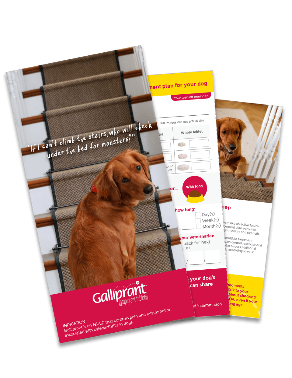 galliprant tablets for dogs