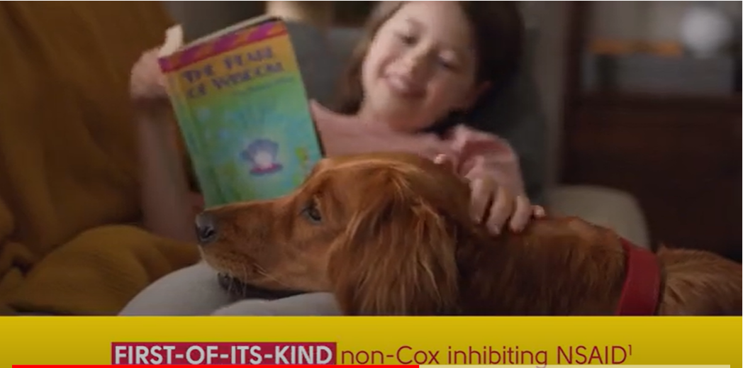 How Long Does It Take For Galliprant To Work In Dogs