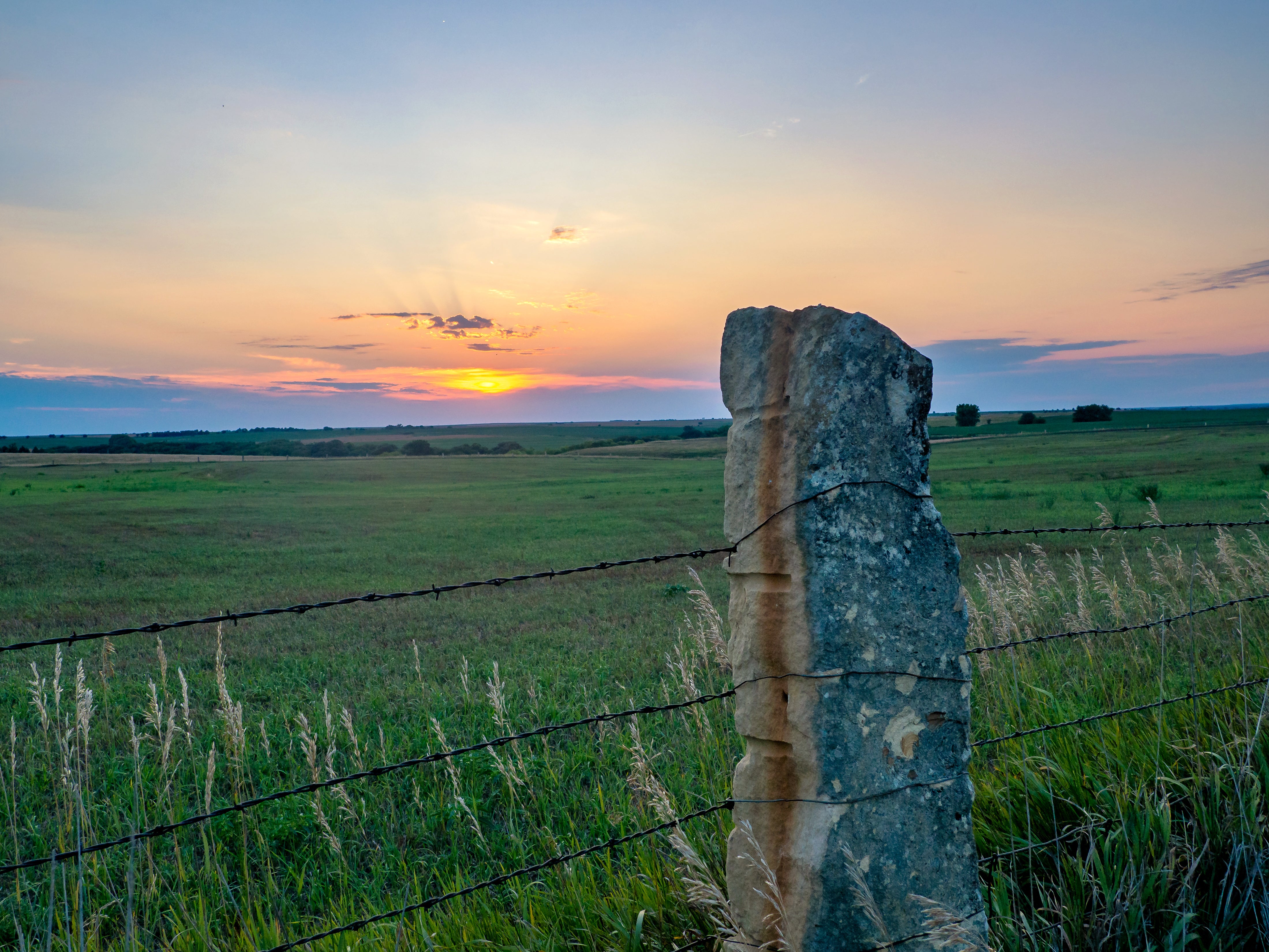 Fence post with barbed wire with pasture in background