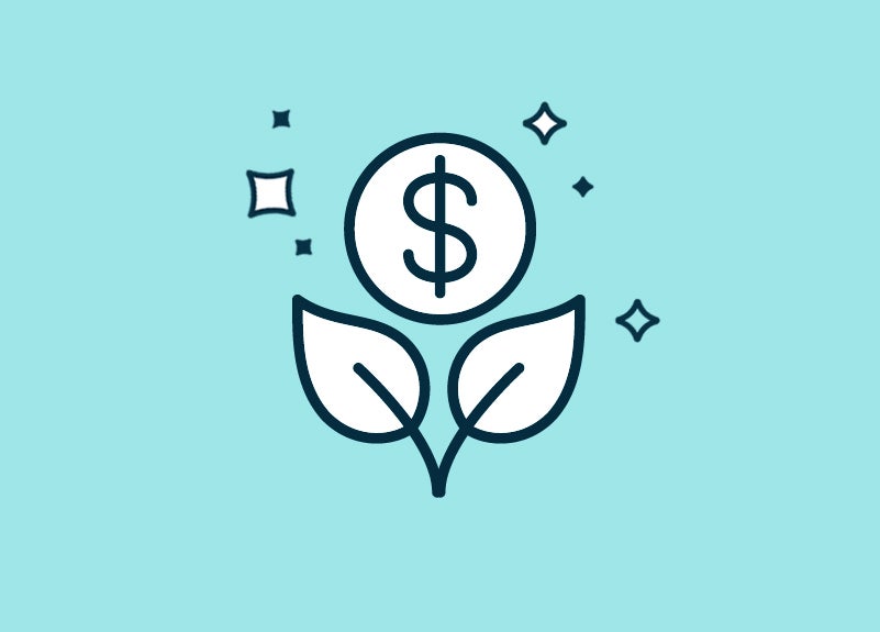 Plant leaves with coin on top