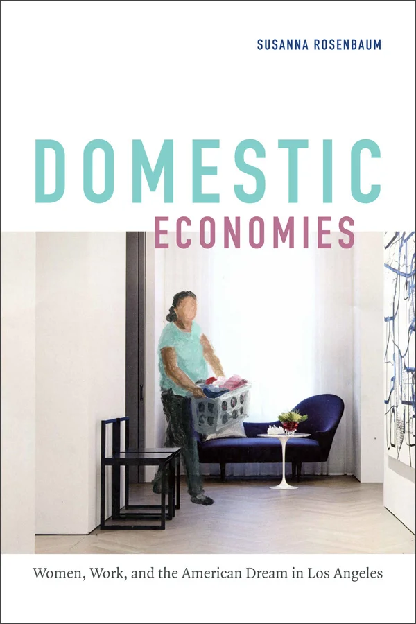 Domestic Economies cover image