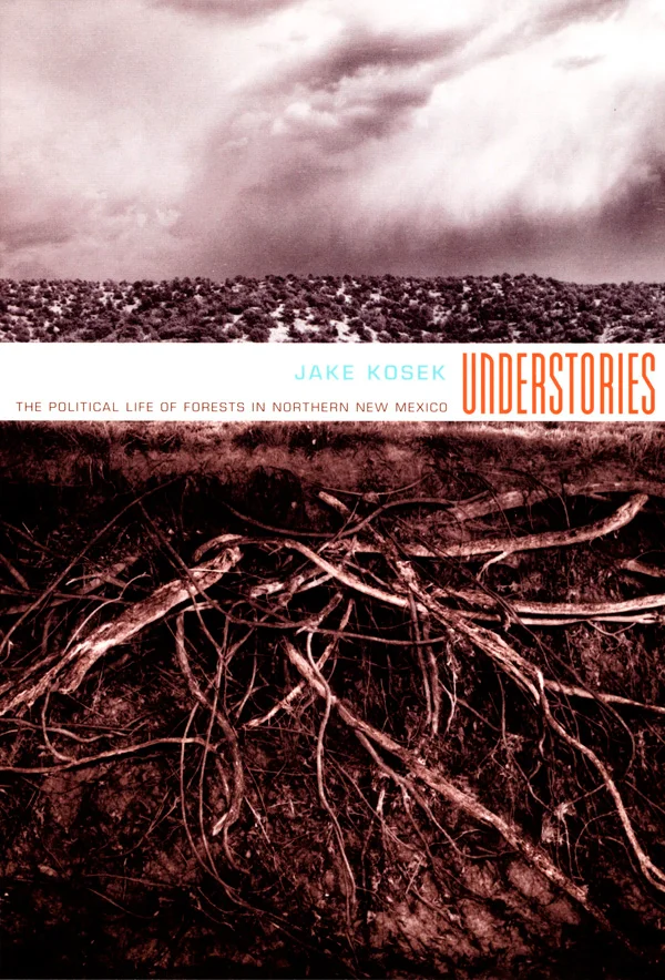 Understories cover image