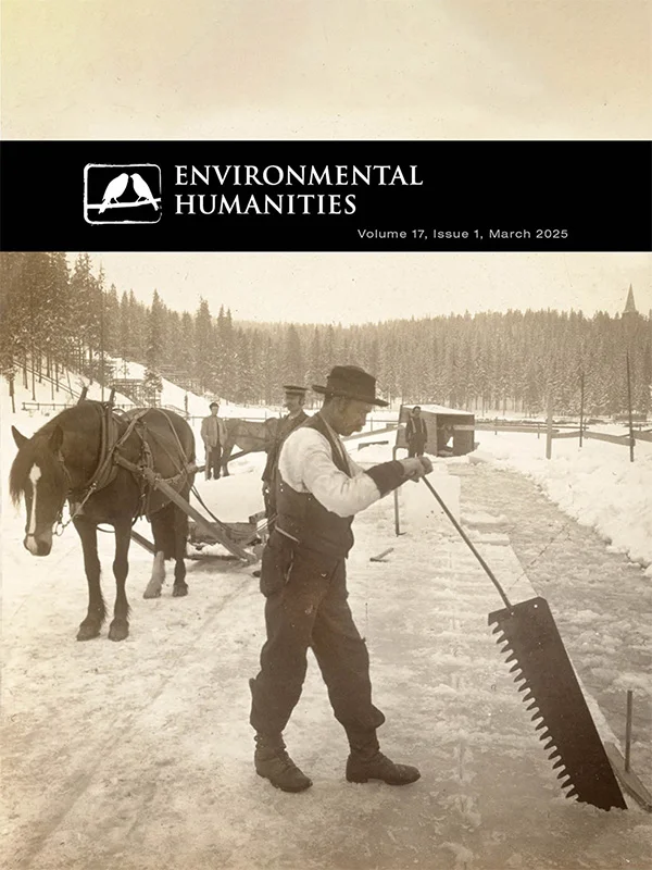 ENV 17:1 cover image