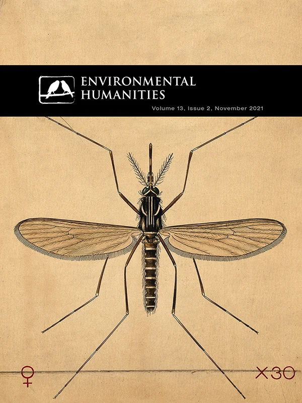 ENV 13:2 cover image