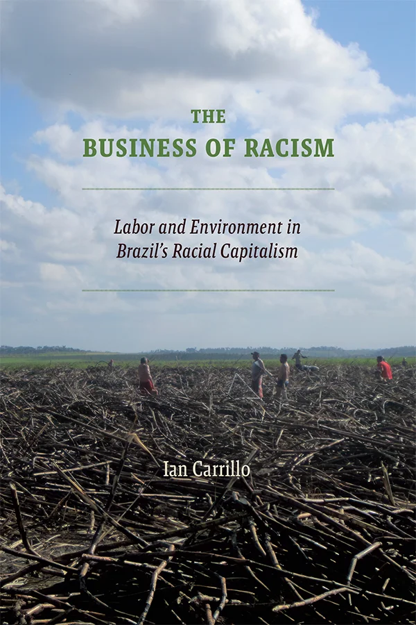 Cover photograph on The Business of Racism depicts workers in a sugarcane field under a sky of fluffy clouds. The cut canes fill the bottom half of the image, and the sky the top half.