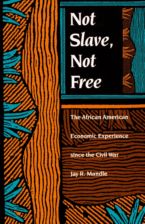 Not Slave, Not Free cover image