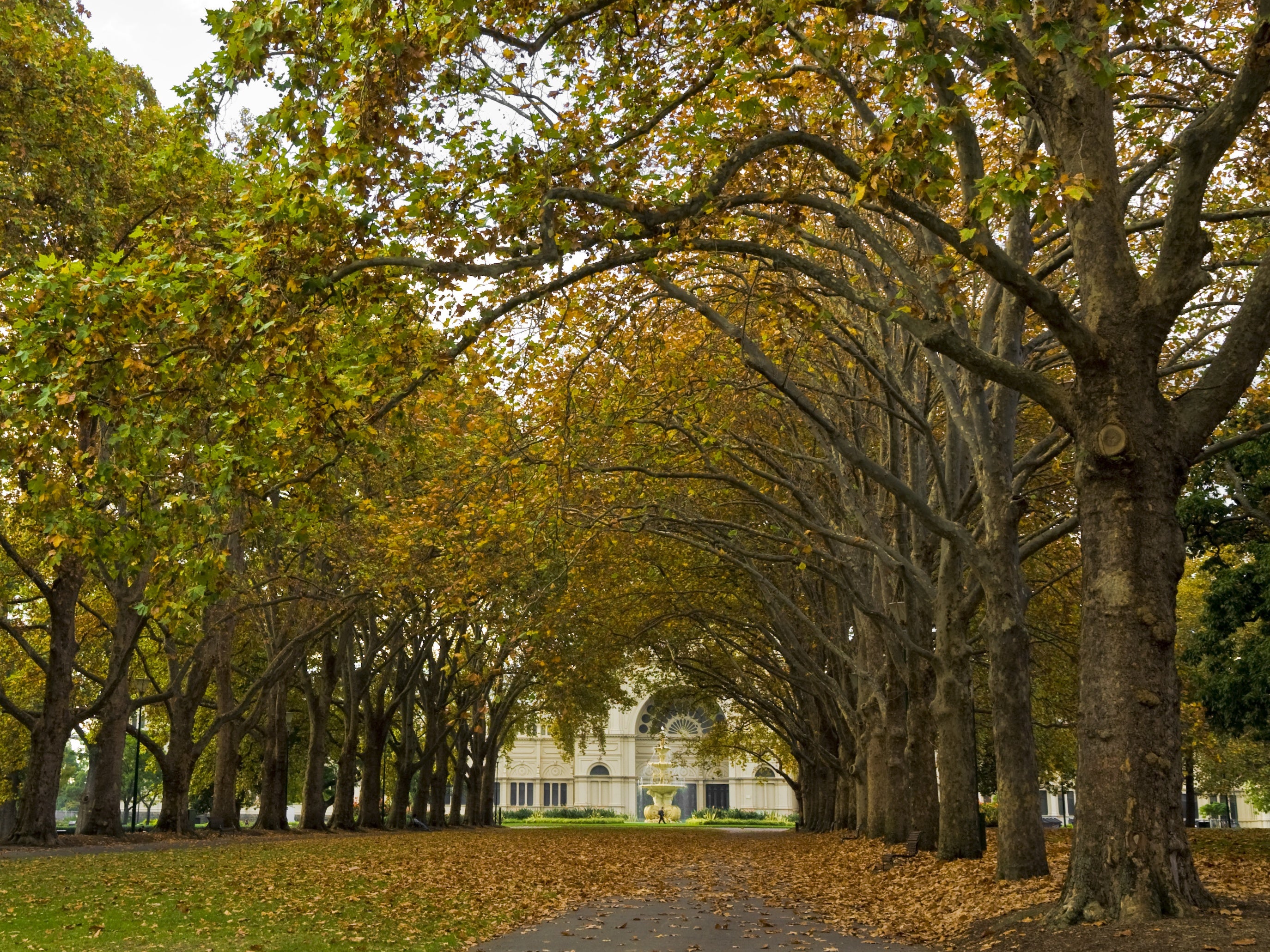 Recent updates to the Planning and Environment Act 1987