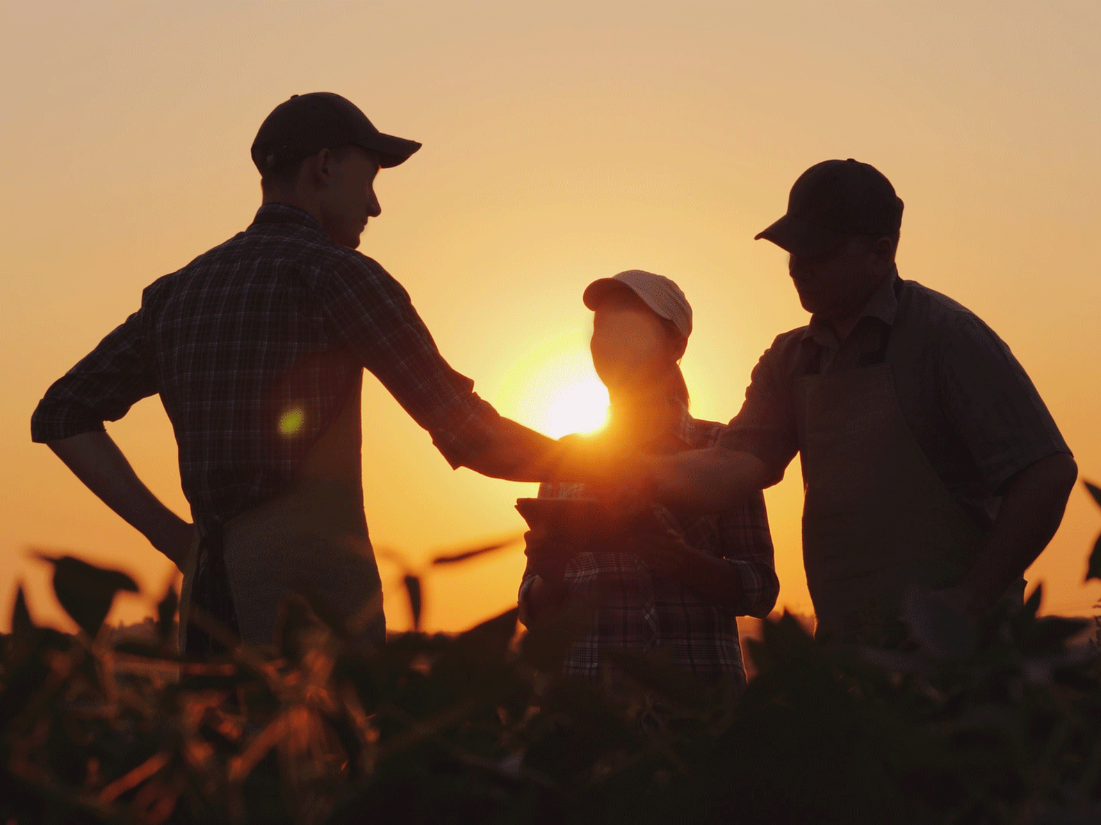 Staying safe this summer: Steps to avoid workplace risks