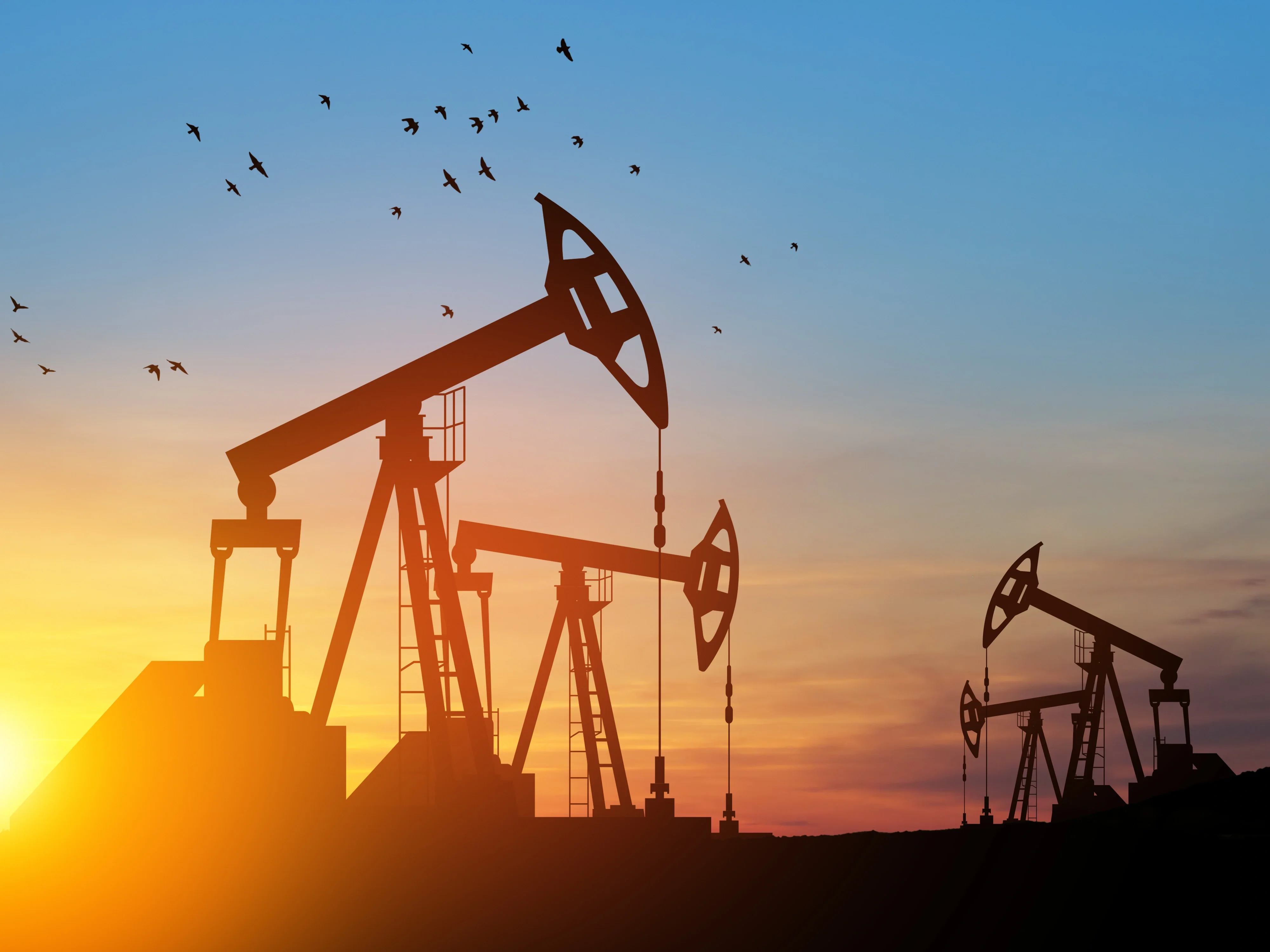 Public policy in the private sector: Is your business complying with Australian sanctions laws?