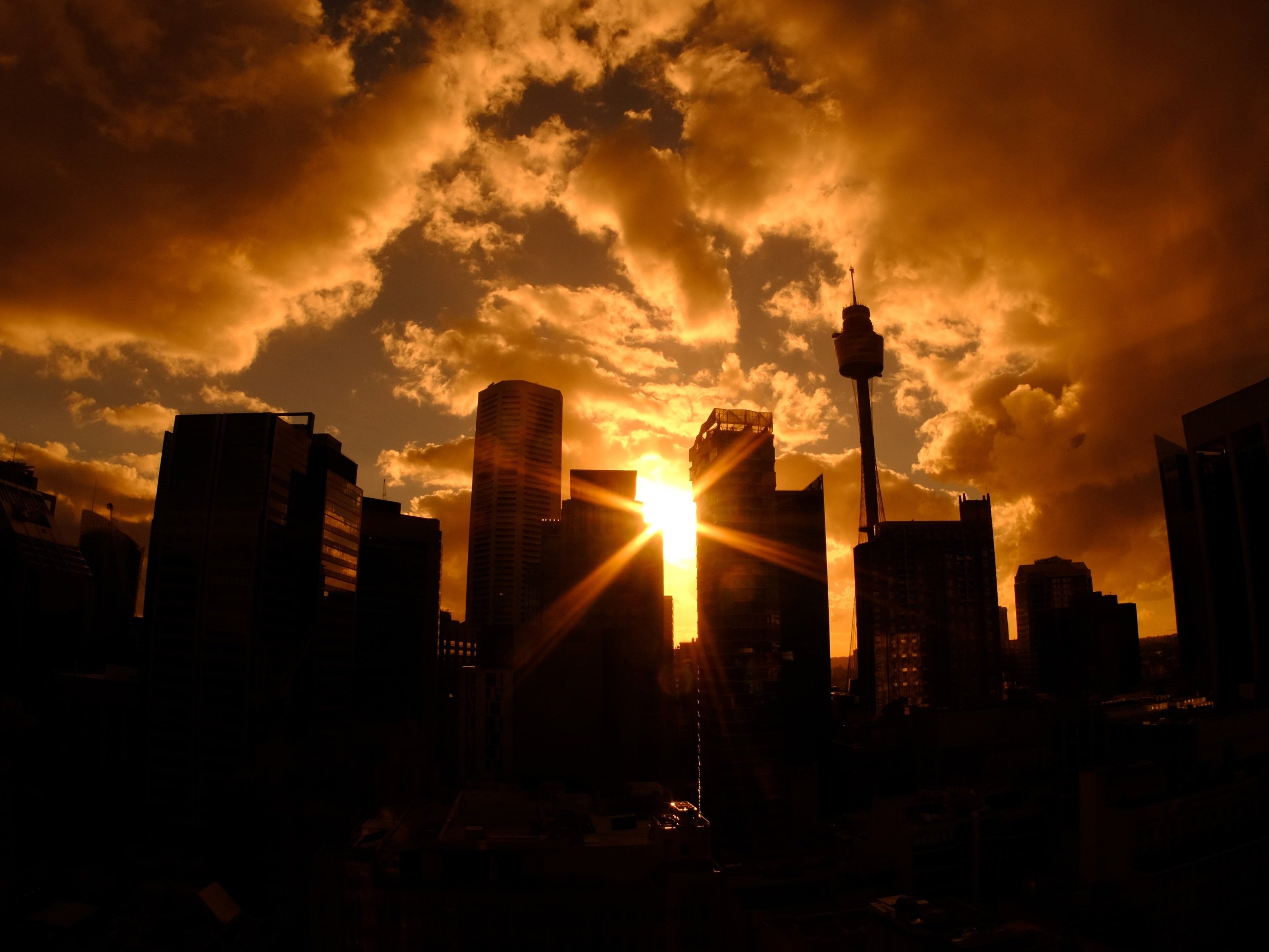 NSW Government Bulletin