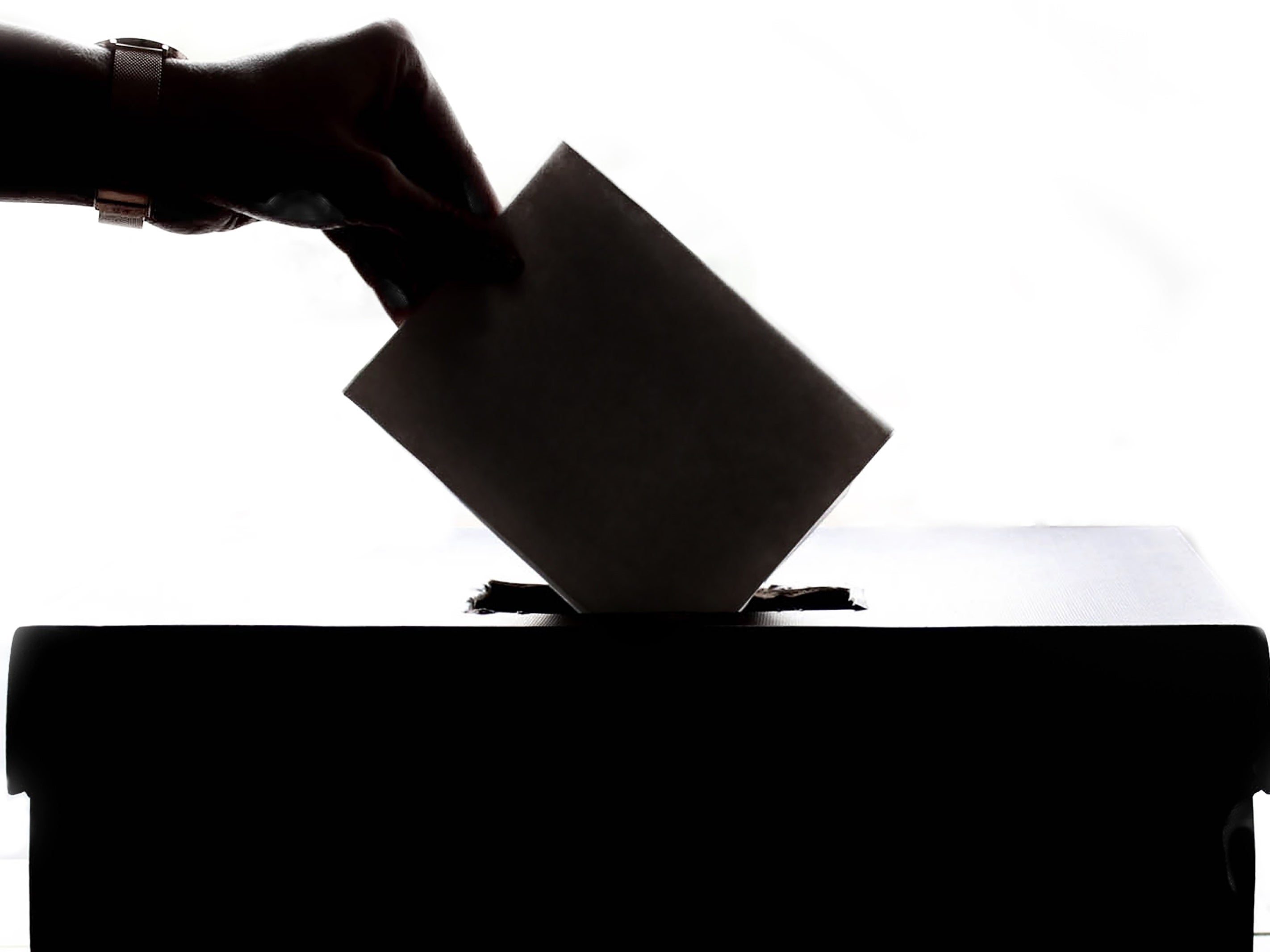 Federal election 2019: Our expert analysis 