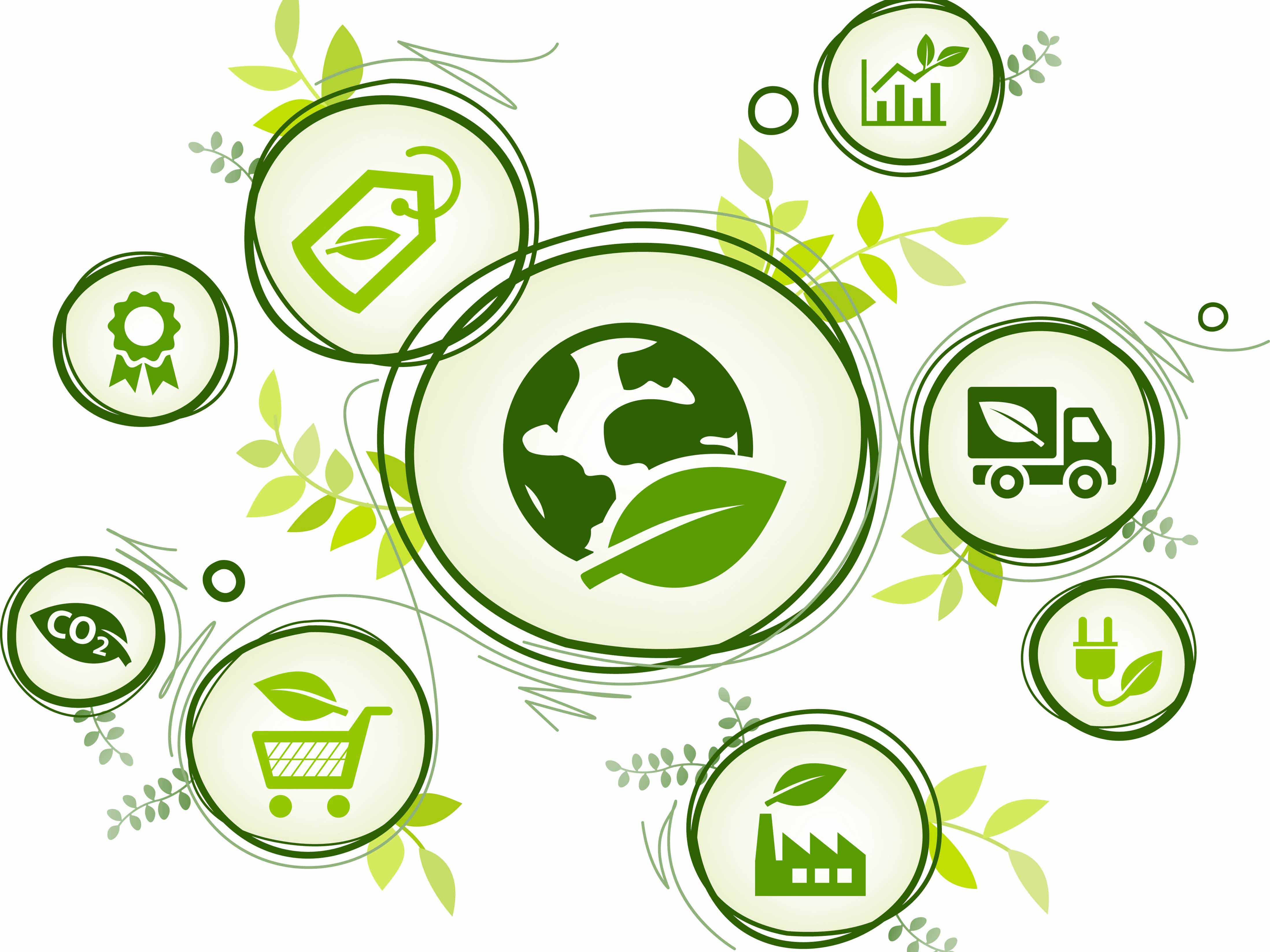 The updated Commonwealth Procurement Rules: An emphasis on SMEs and sustainability