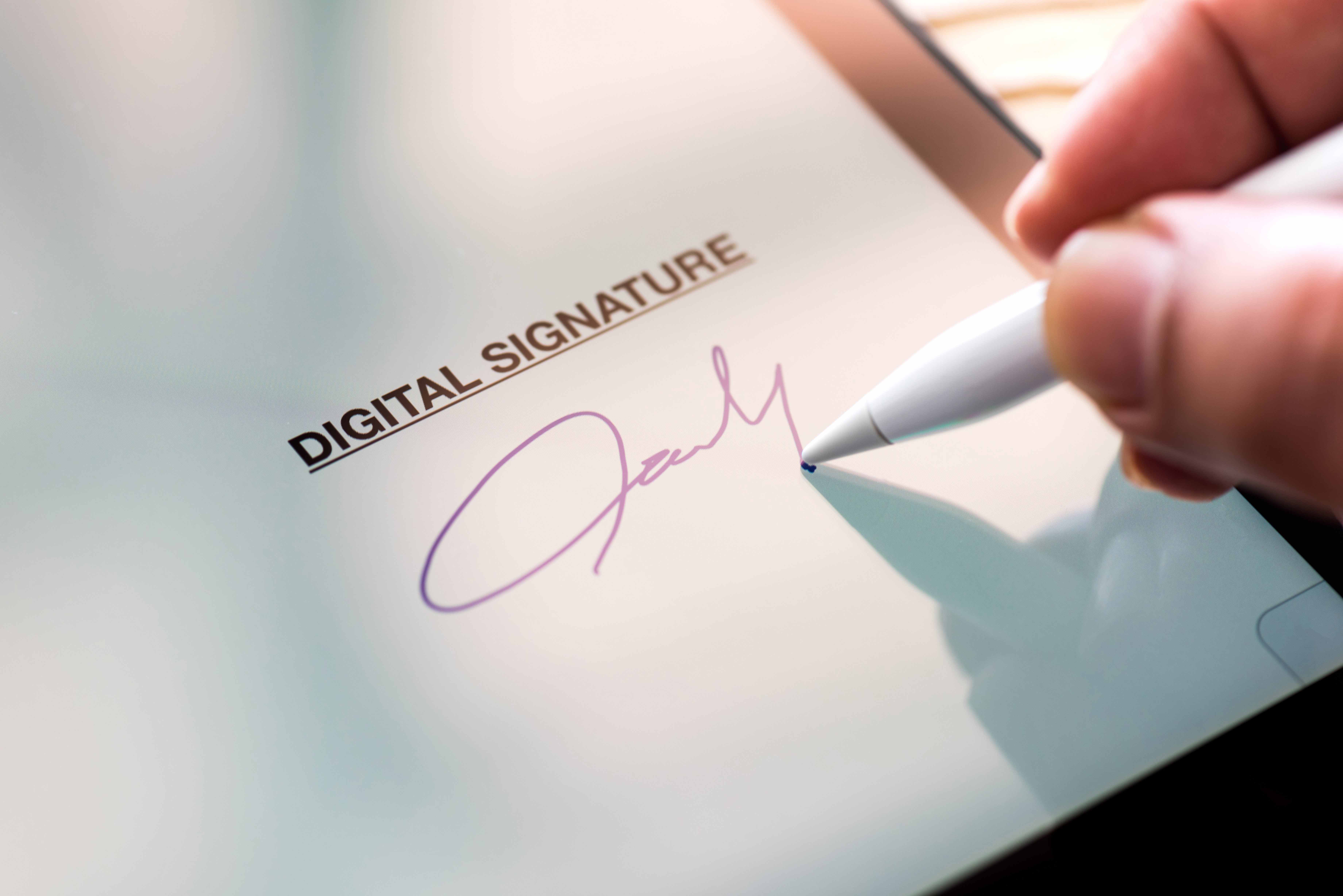 Подписать использовать. E-Signature. Digital Signature. Электронная подпись e-Signature. Стилус для подписи.