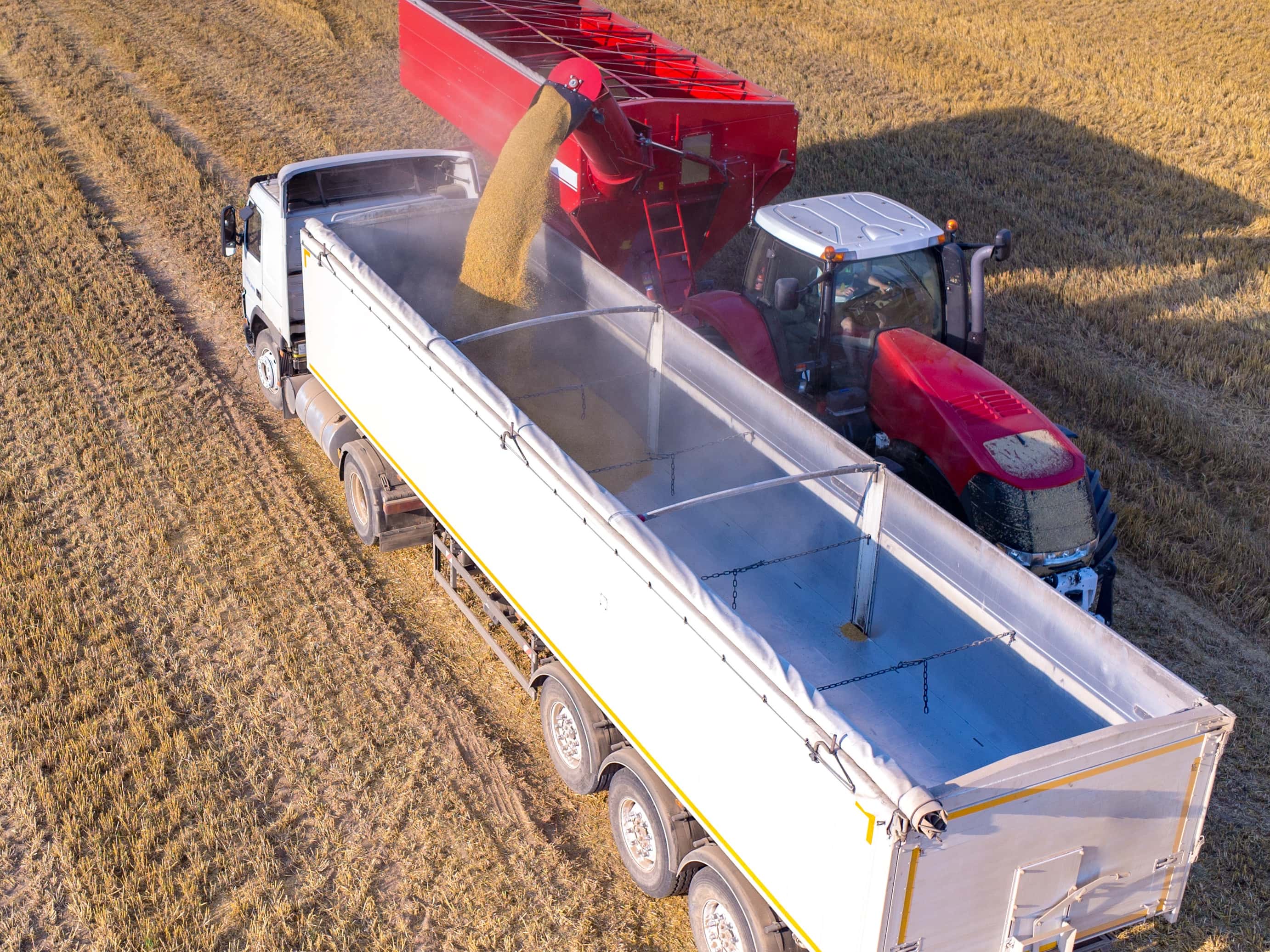 HVNL: Contraventions of primary and safety duties 