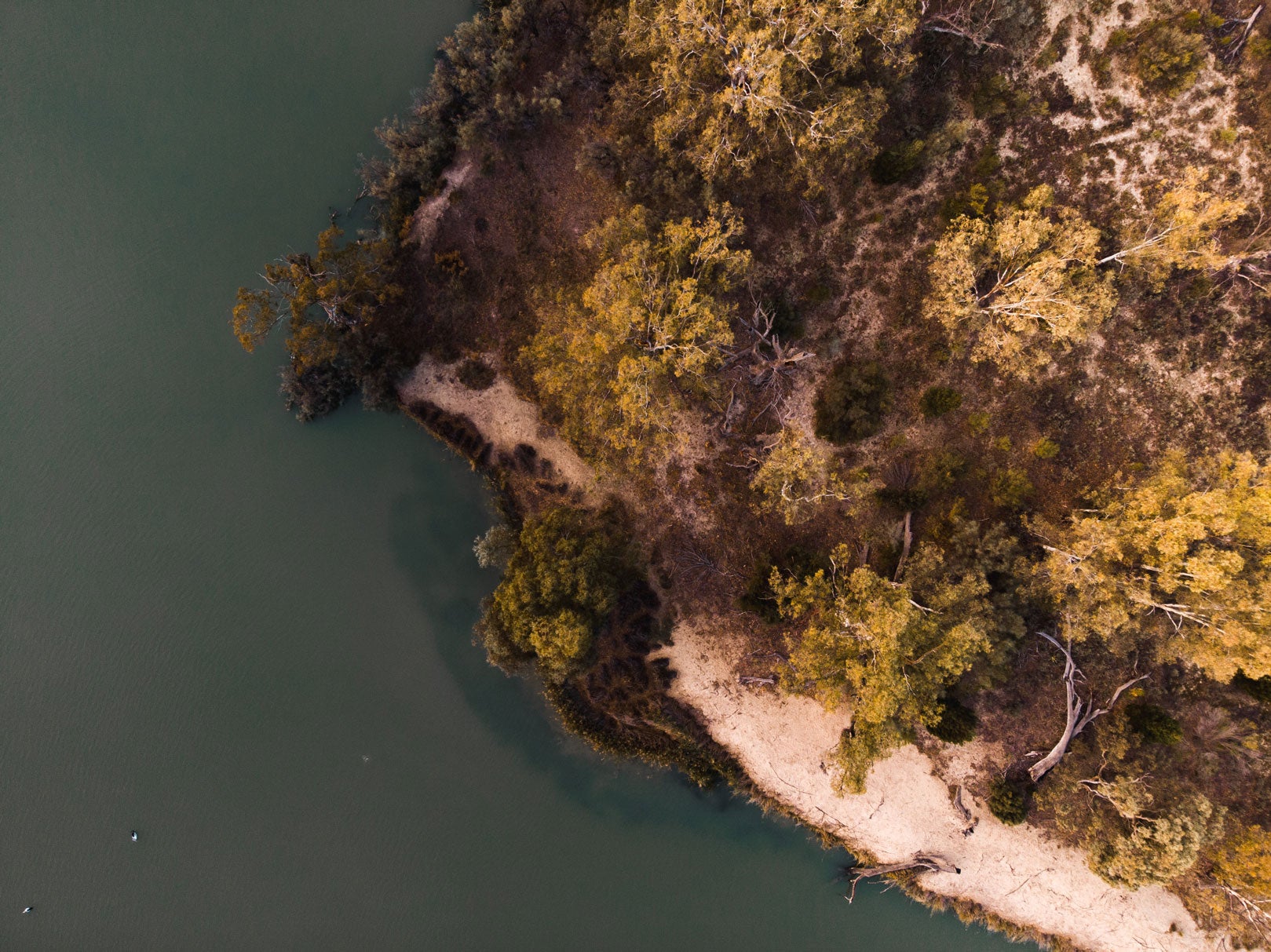 The Murray-Darling Basin Plan – courts and water use