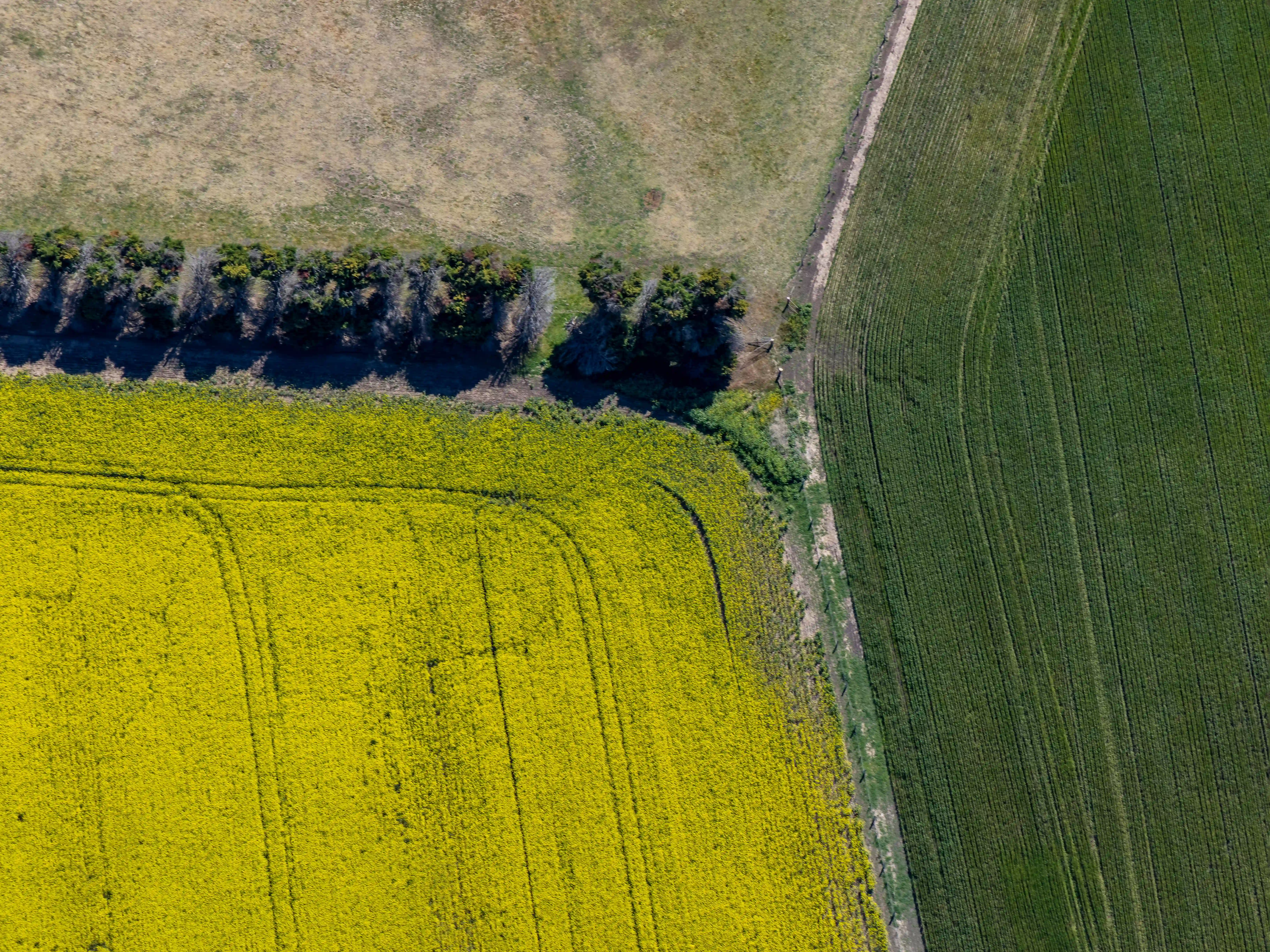 Mining, petroleum and renewable energy: Navigating competing land use rights