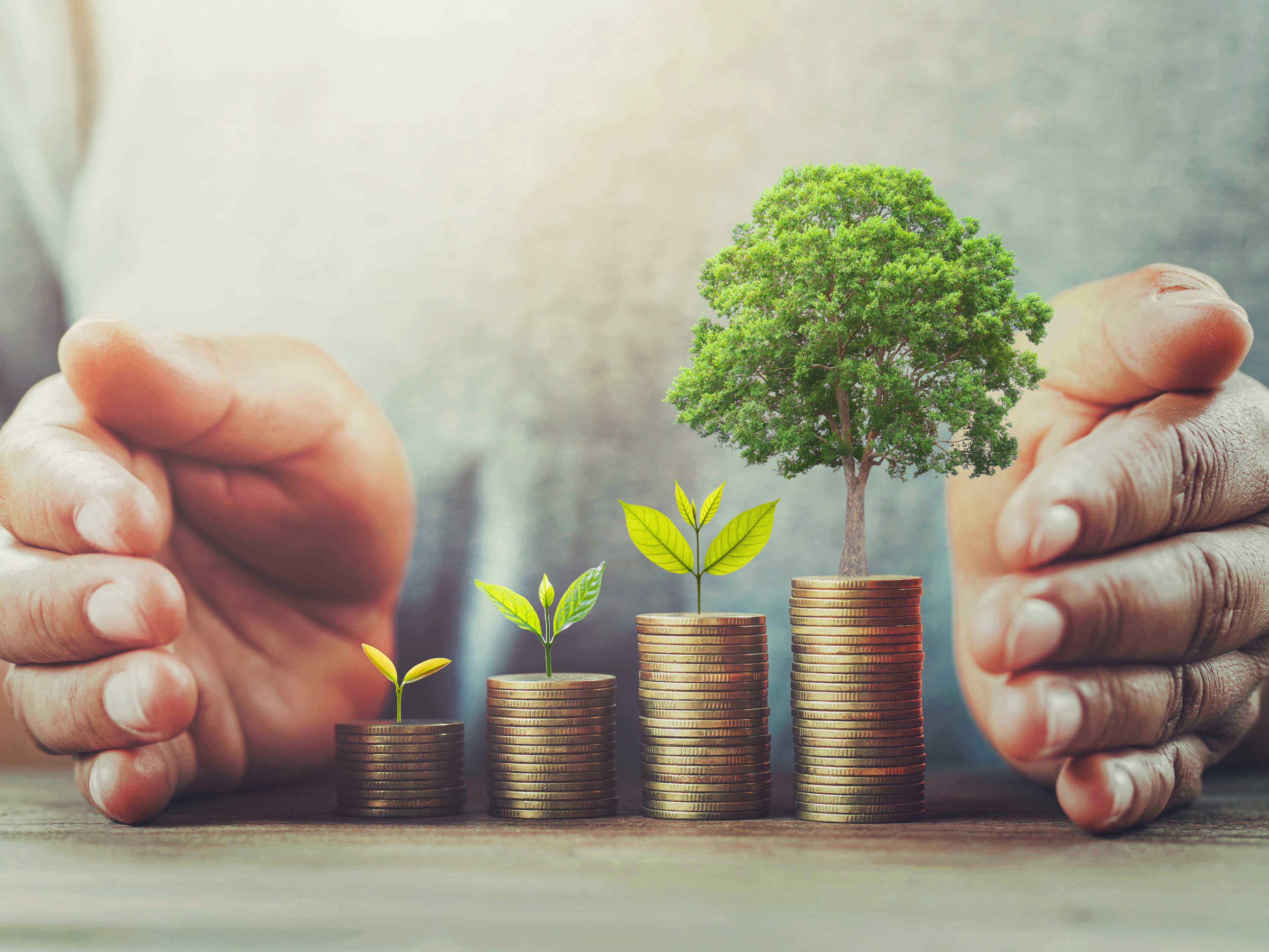 Fees and costs disclosure in PDSs – a quick guide