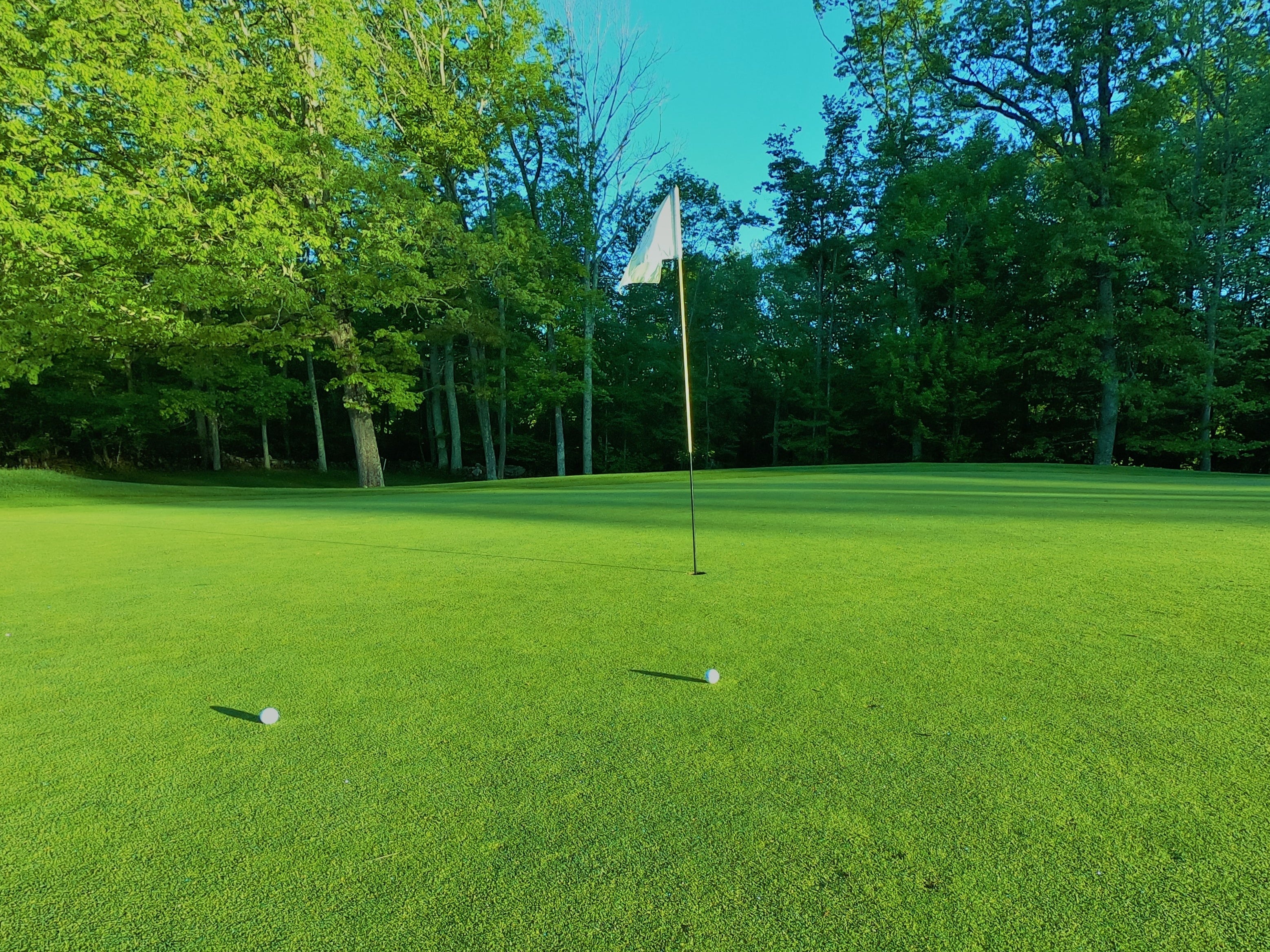 Tender Exclusions and Whole Agreement Clauses