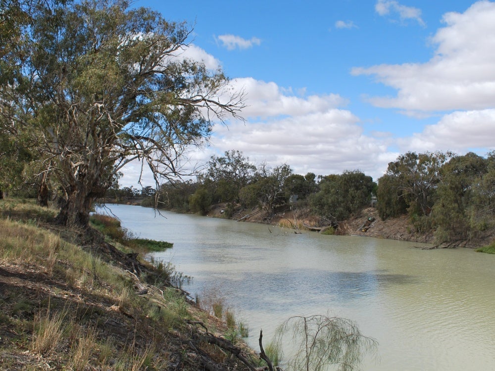 Royal Commission finds Murray-Darling Basin Plan partly unlawful 