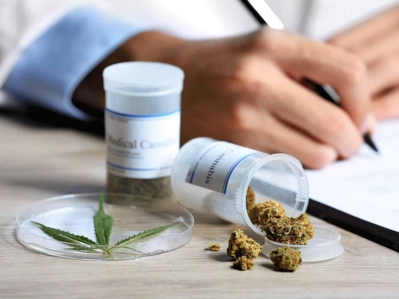 Weeding out workplace hazards: Is medicinal cannabis safe in your workplace?