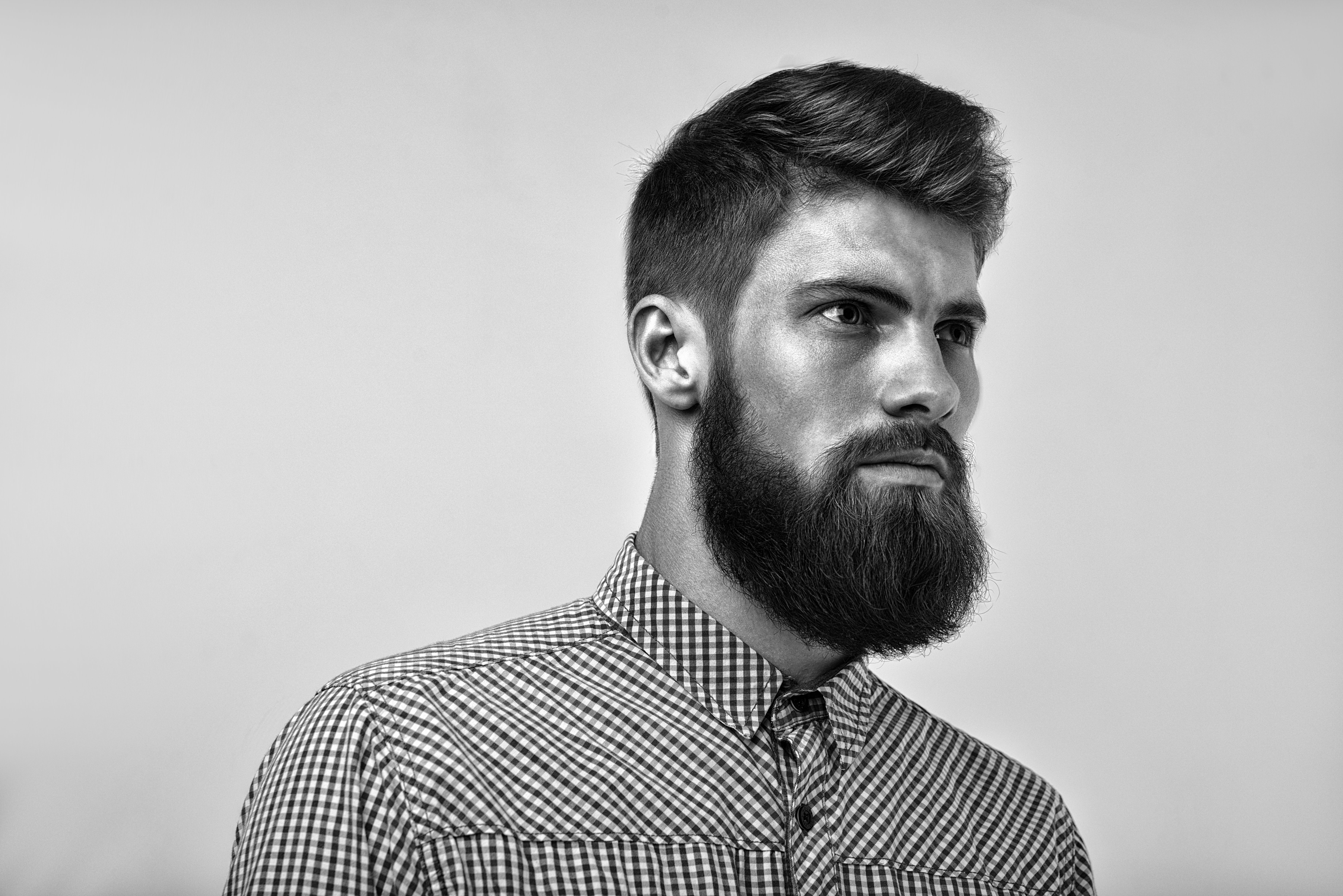 Beard straightener shop shaver shop