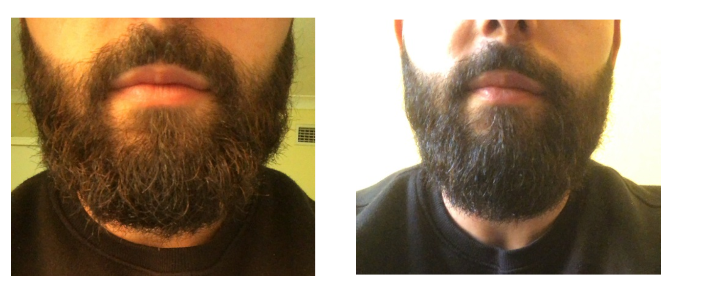 gorgeous gifts beard straightener