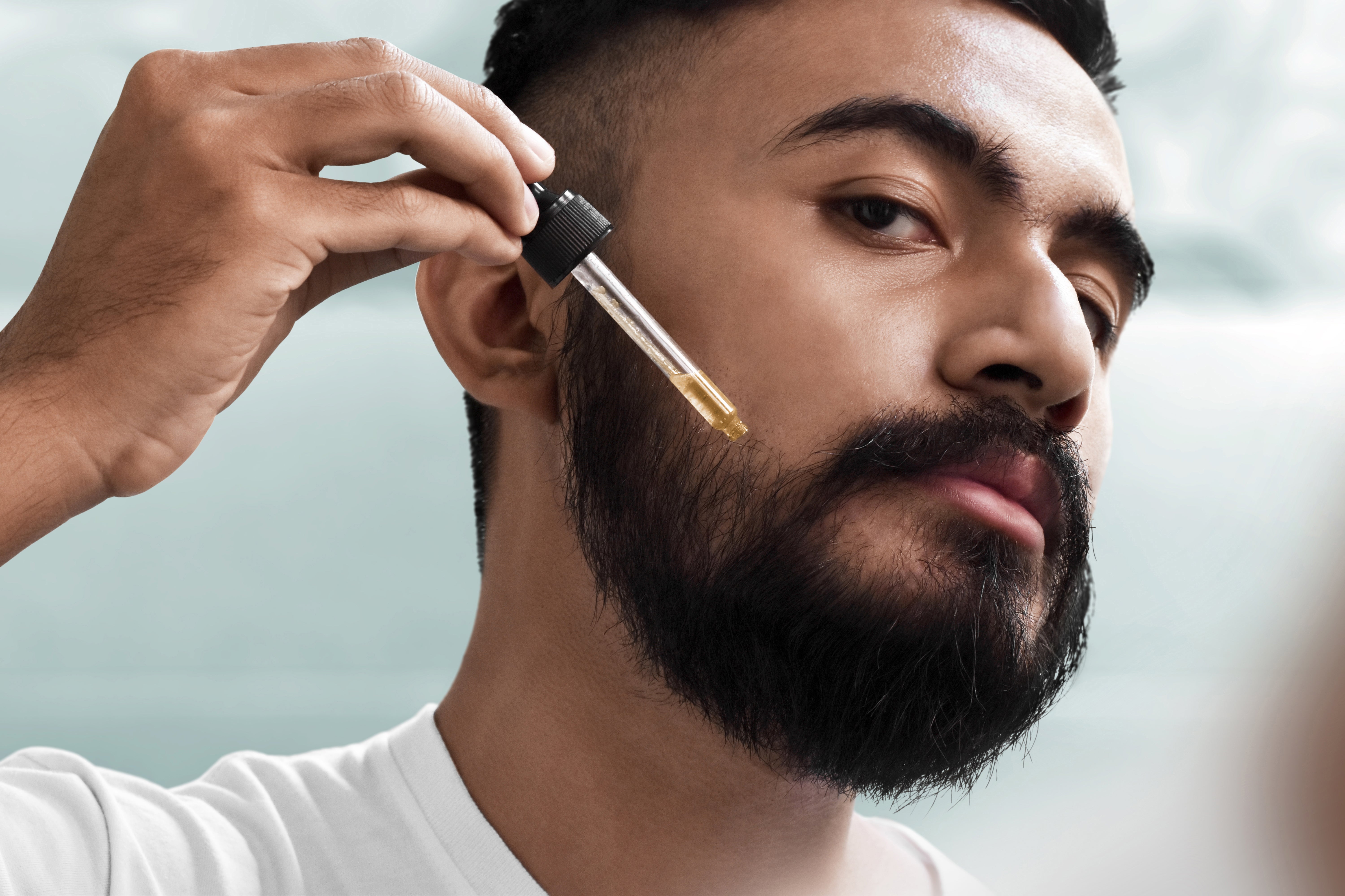 Beard straightener shop shaver shop