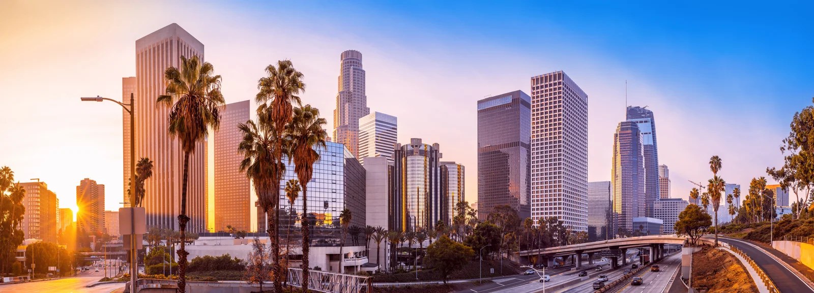 DTLA Skyline.jpg