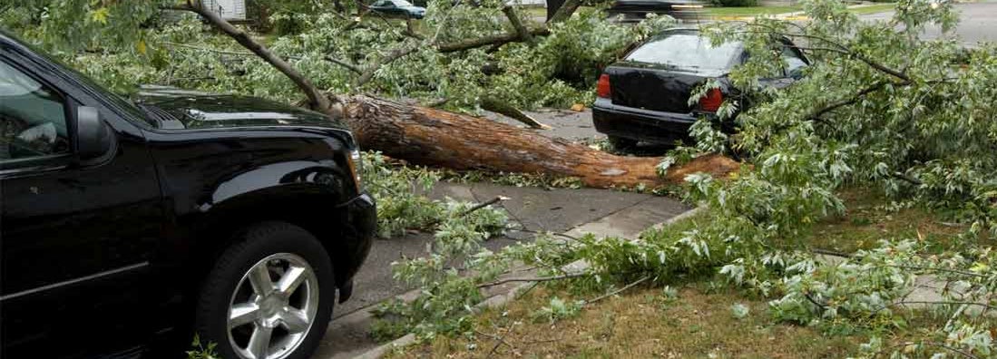 Steps to take after car takes damage from tornado